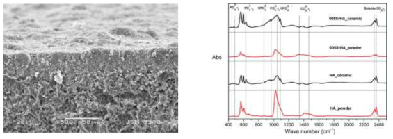 세라믹 필터의 구조 및 안정성 분석 예. (좌) SEM 이미지 예시, (우) FT-IR 분석 결과 예시