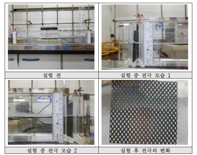 전기분리실험 사진 (실험시간 변화, 60cm 반응조)