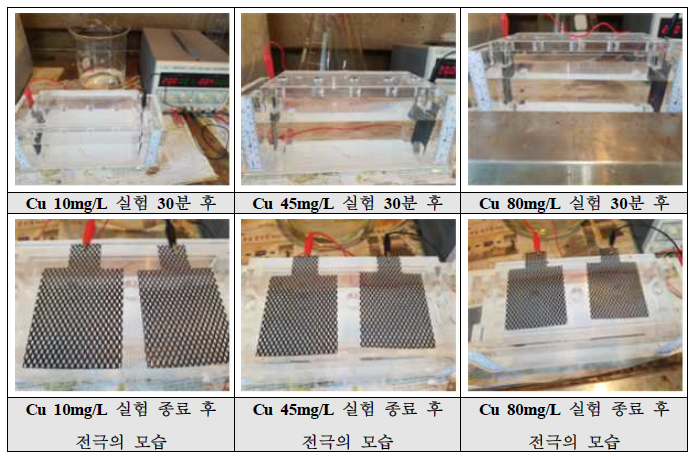 전기분리실험 사진 (Cu 농도별, 20cm 반응조)