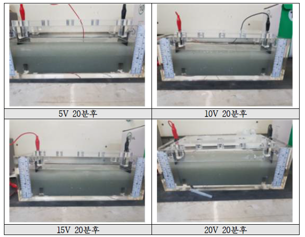 전기분리실험 사진 (Glass bead 이용, 20cm 반응조)