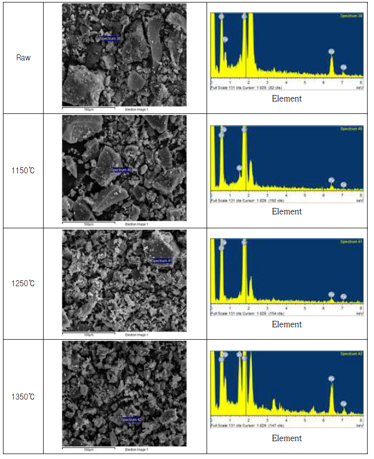 WCI 소성온도별 SEM / EDS 분석결과