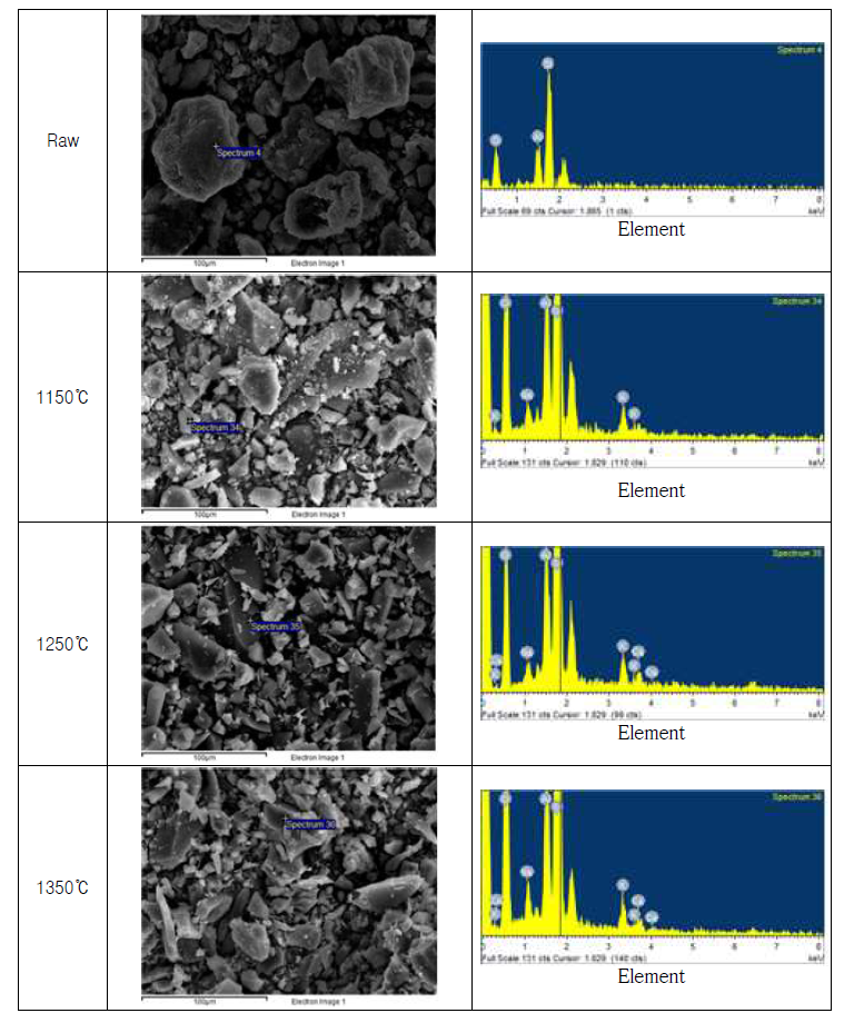 Zeolite 소성온도별 SEM / EDS 분석결과