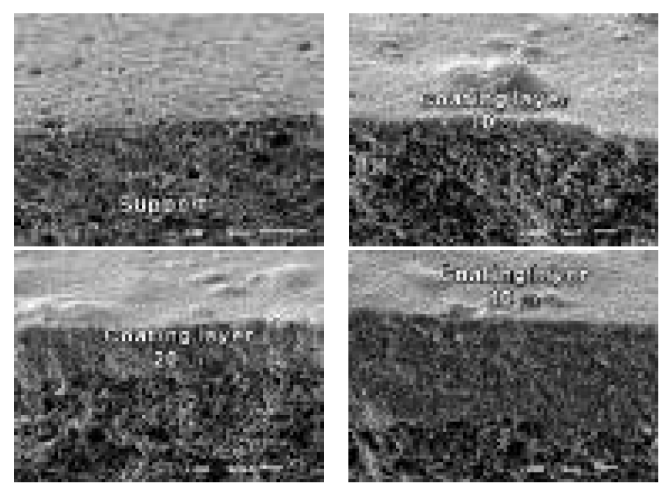 SEM을 통한 Coating layer 확인