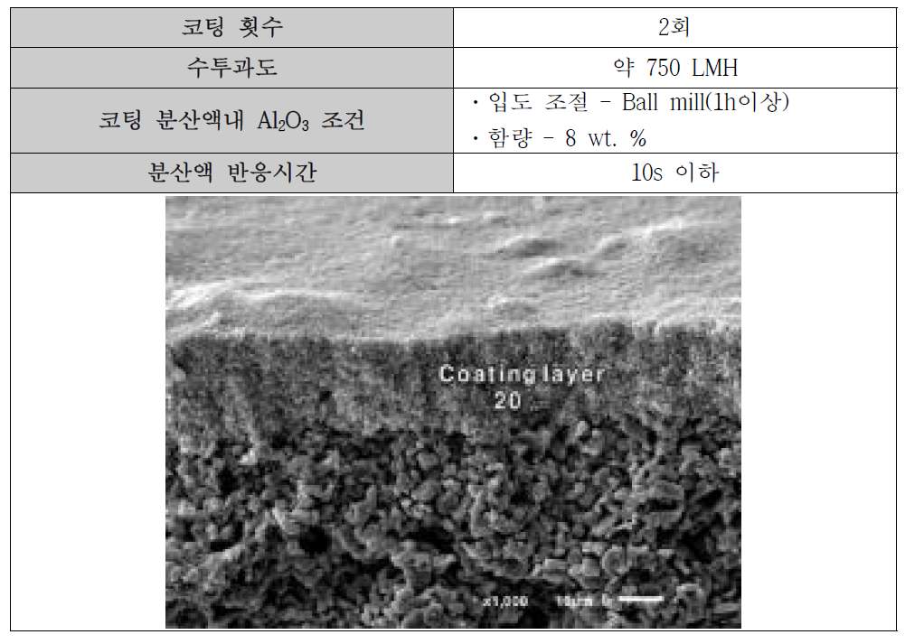 항목별 분리막 코팅 최적 조건