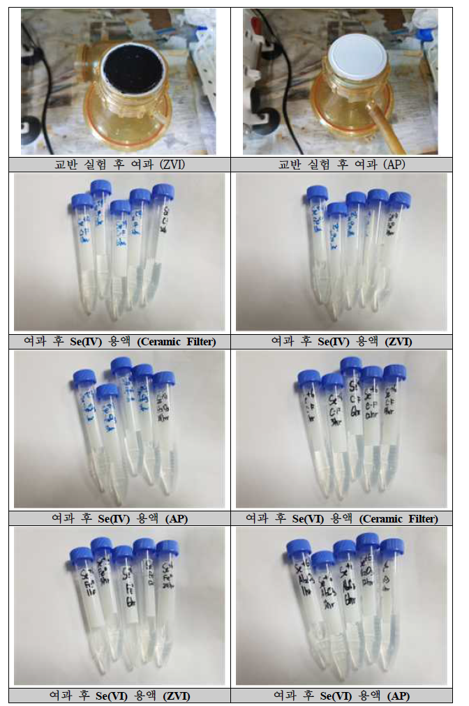 Se 제거 24hr 반응 실험 사진