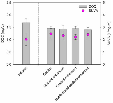 DOC, SUVA according to maintenance condition of column influent and effluent (n=6) (DOC: p > 0.05, SUVA: p > 0.05)