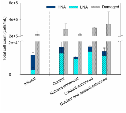 Behavior of total cell count of column influent and effluent (n=4) (LNA; p  0.05)