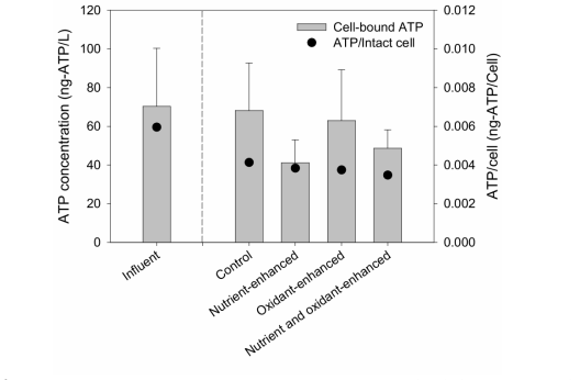 Behavior of ATP in column influent and effluent (n=3) (p value < 0.05)