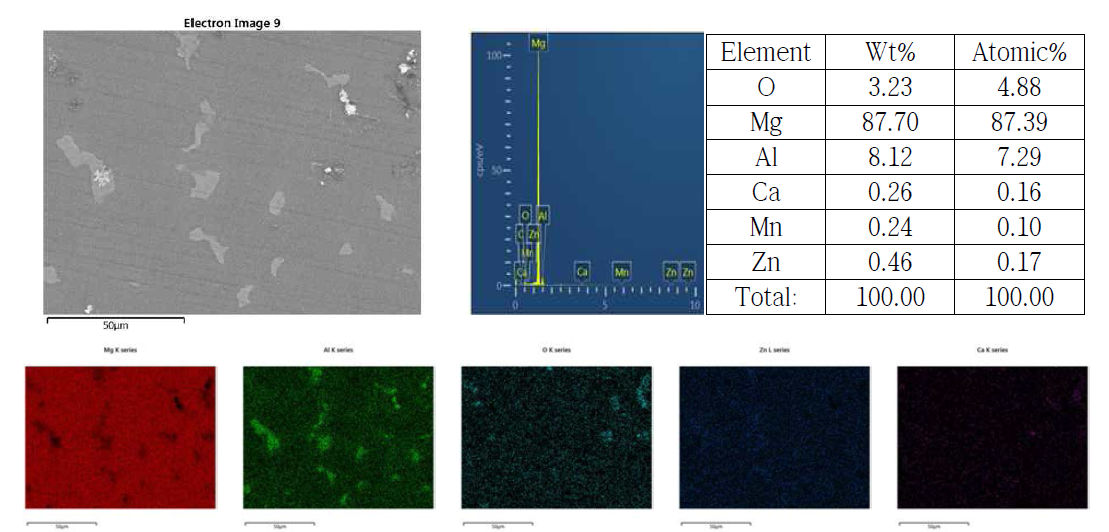 SEN(AZ81기반 난연성 마그네슘합금)에 LiCl-KCl-NaCl을 혼합한 플럭스를 0.5% 사용하여 용해한 후 하층부에서 채취한 시료의 SEM/EDS 분석 결과
