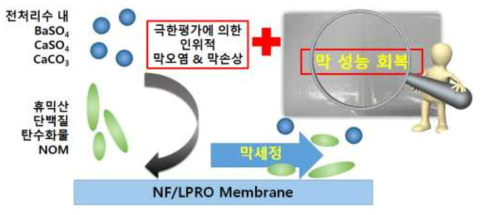 세세부2: 극한평가를 통한 인위적인 막오염 후 세정제 적용을 통한 막성능 회복 메커니즘 규명