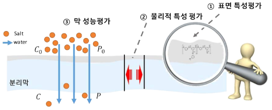 막 특성 평가 모식도