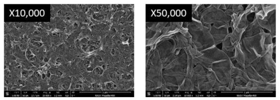 분리막(NF 90)의 SEM 이미지