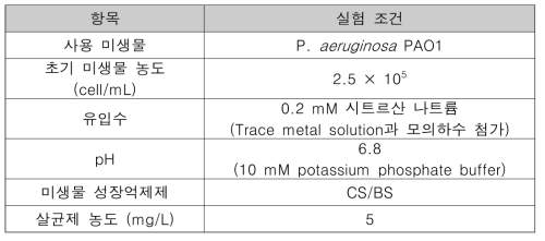 바이오필름 형성 평가 실험조건