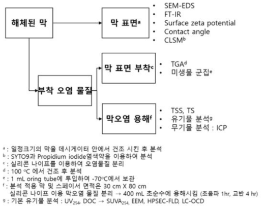 과업에서 수행된 막 해체 분석절차