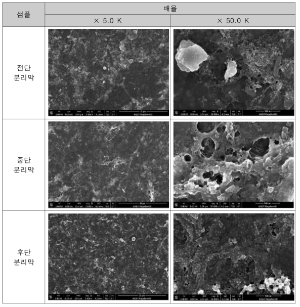 전단, 중단, 후단 분리막 표면의 SEM 이미지 분석