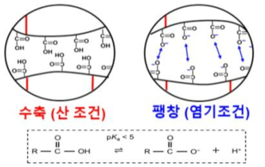 산 또는 염기 노출에 의한 분리막 표면의 구조 변화 모식도