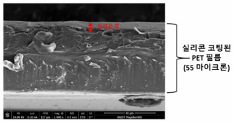 PET Film SEM 분석