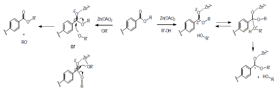 Proposed transesterification mechanism in alkoxy species-assisted zinc ion catalytic condition