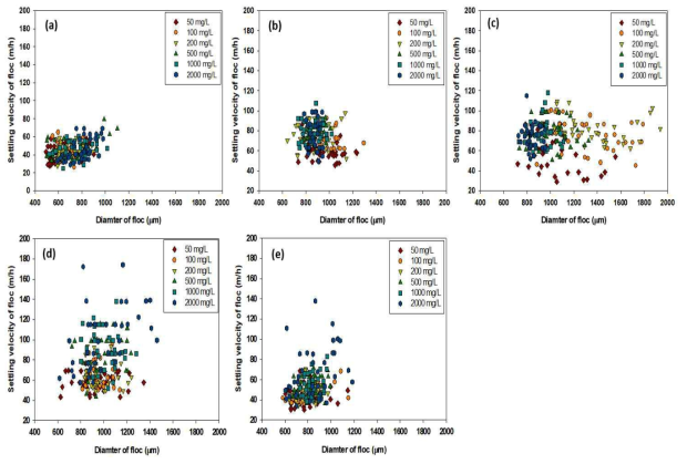 플록의 직경과 침강속도 사이의 관계 : (a) 25 ㎛, (b), 30 ㎛, (c) 60 ㎛, (d) 80 ㎛, (e) 120 ㎛