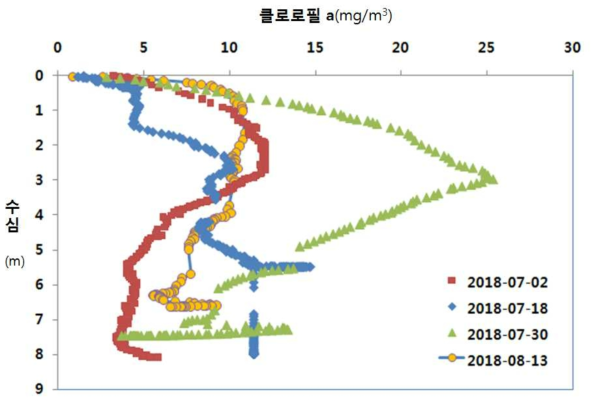 측정시기별 수심에 따른 클로로필 a 변화