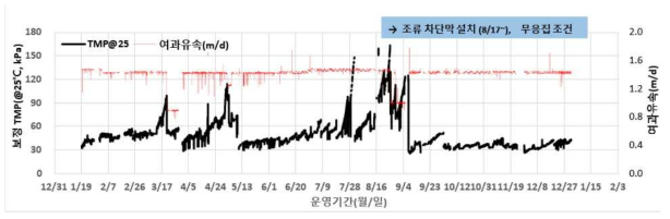 조류차단막 설치 후 가압식 막여과 연계 평가