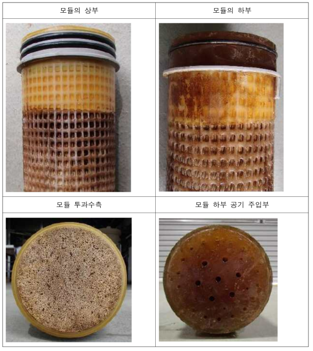 오염 막모듈 사진