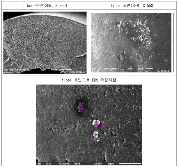 오염 막 SEM 사진