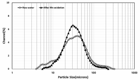 원수와 산화제 주입 후 입도분포 비교