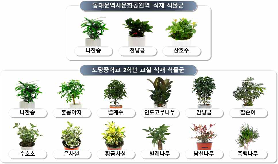 동대문역사문화공원역 및 도당중학교 식재 식물군