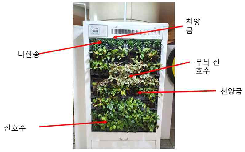 동대문역사문화공원에 설치된 바이오월의 적용된 식물