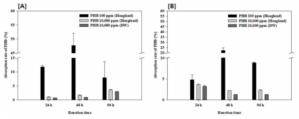 식물 조건에 따른 식물의 PHB 흡수율 확인 결과 ([A] with illumination, [B] without illumination)