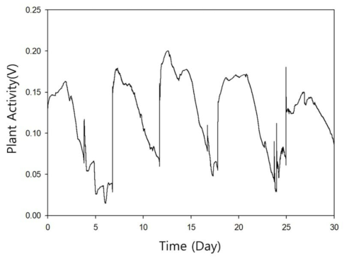 식물 활성도(Plant Activity)를 측정한 그래프