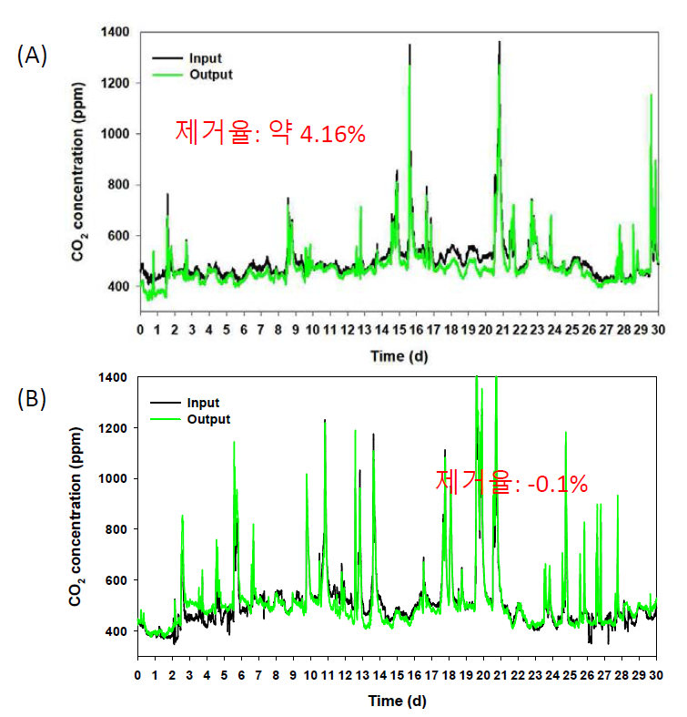 장기운용을 통한 최종 시제품의 이산화탄소 제거 성능 평가 결과 ((A): 팔손이, (B): 사철나무)