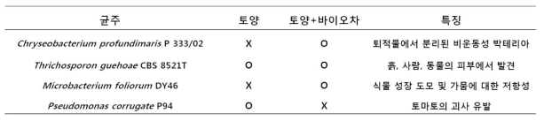 바이오차가 포함된 인공토양에서 성장한 방울 토마토의 근권부에서 분리 및 동정된 미생물의 특징