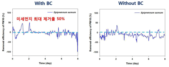 바이오차의 유무에 따른 미세먼지 (PM10)의 제거효율 결과