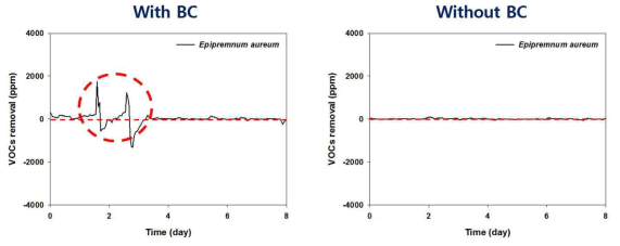 바이오차 유무에 따른 VOCs의 제거효율 결과