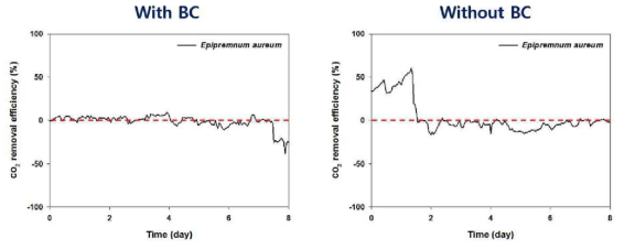 바이오차의 유무에 따른 CO2의 제거효율 결과