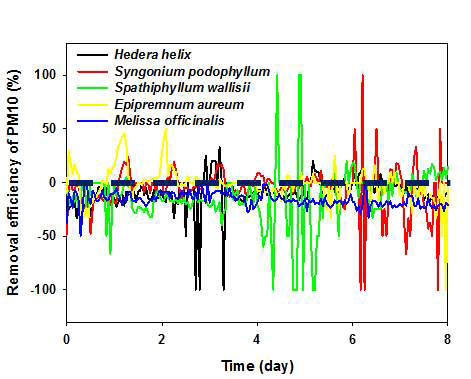 아이비, 싱고니움, 스파티필럼, 스킨답서스, 레몬밤을 적용한 미세먼지(PM10)의 제거효율을 확인한 결과