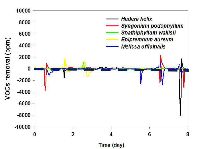 아이비, 싱고니움, 스파티필럼, 스킨답서스, 레몬밤을 적용한 VOCs의 제거효율을 확인한 결과