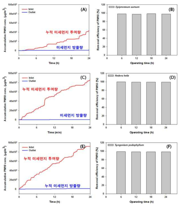 건국대학교 바이오필터 시스템에 식물을 적용하여 미세먼지 저감 효과를 나타낸 결과 ((A):스킨답서스의 누적 미세먼지 양, (B):스킨답서스의 미세먼지 제거율, (C):아이비의 누적 미세먼지 양, (D):아이비의 미세먼지 제거율, (E):싱고니움의 누적 미세먼지 양, (F):싱고니움의 미세먼지 제거율)