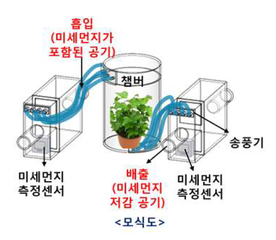 초본성 식물과 목본성 식물을 적용하여 운용한 바이오필터 시스템