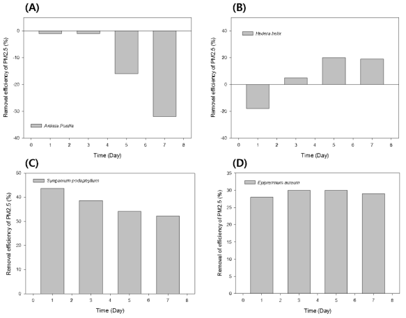 초본성 식물의 미세먼지(PM2.5) 제거율을 나타낸 결과 ((A): 산호수, (B): 아이비, (C): 싱고니움, (D): 스킨답서스)