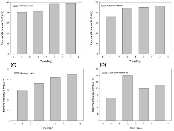 목본성 식물의 미세먼지 제거율을 나타낸 결과 (A): 소나무, (B): 라인골드, (C): 빌레나무, (D): 아라우카리아)