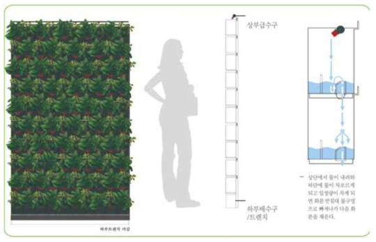 숲인 벽면녹화 개념도