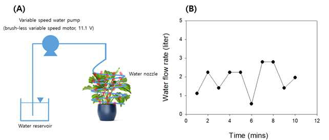 개발된 식물 급수 장치 및 식물 세척 장치