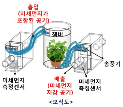 개발한 인공토양(일반 배양토와 바이오차)과 목본성 식물을 적용해 운용한 바이오필터 시스템