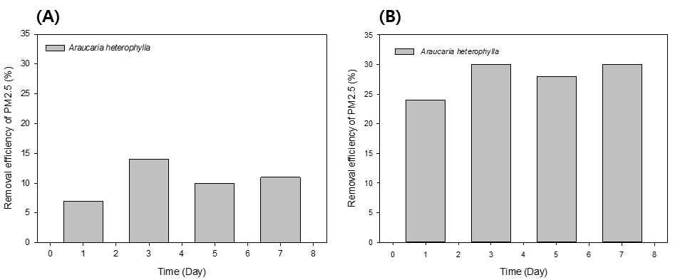 사용한 토양에 따른 미세먼지(PM2.5) 제거율을 나타낸 결과 ((A): 일반 배양토 (100%), (B): 개발된 인공토양(일반 배양토+바이오차 (50%+50%))