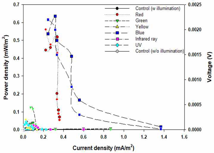 파장에 따른 식물 Power density를 측정한 결과