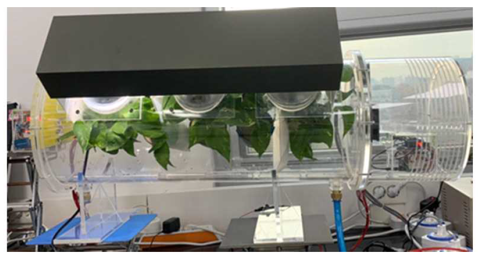 초본성 식물과 목본성 식물을 적용하여 운용한 미세먼지(PM2.5) 저감을 위한 바이오필터