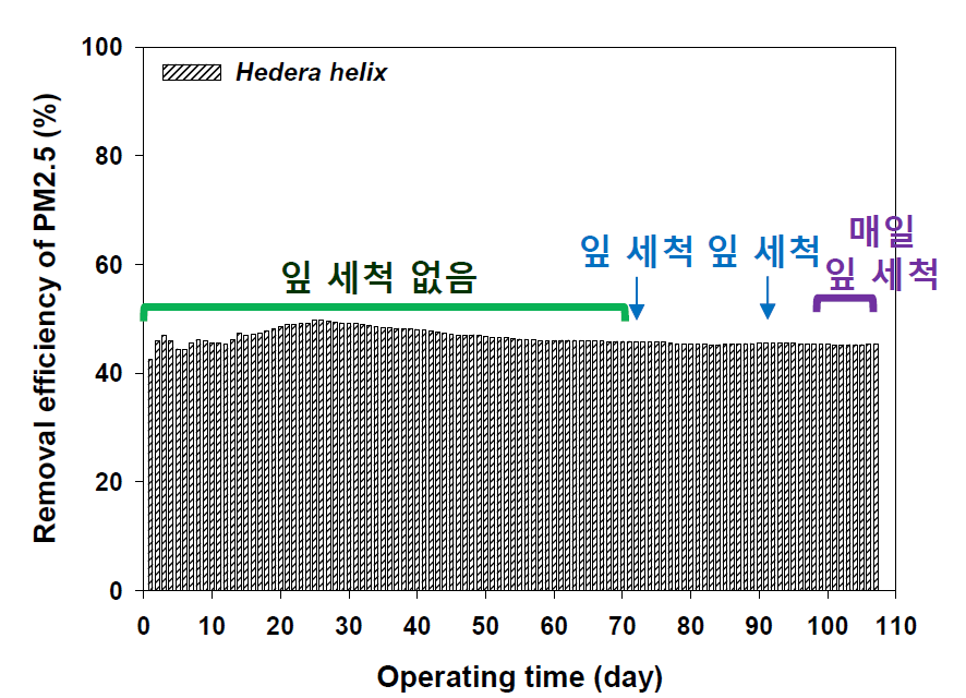 장기간 운용 및 잎 세척에 따른 미세먼지 제거율 결과